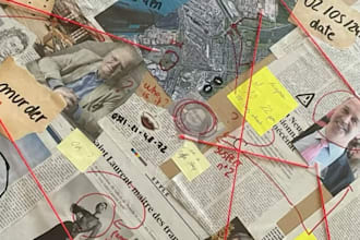 forensic accounting and fraud investigation, financial analysis, cyber security