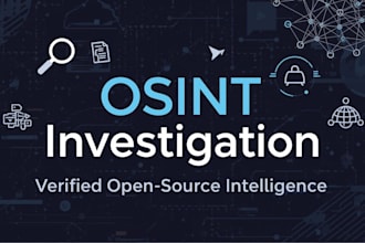 conduct a professional osint investigation as online private investigator