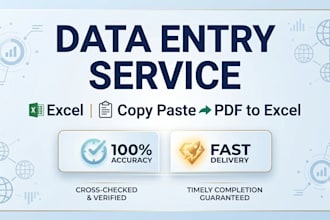 be your professional data entry and excel specialist