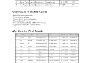 data cleaning and formatting