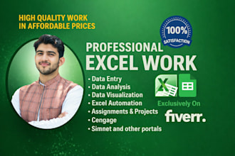do your microsoft excel assignments projects and modules