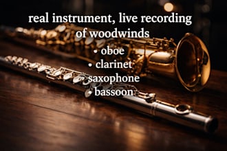 record real professional woodwinds flute sax bassoon clarinet to your track