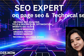 do on page and technical seo for wordpress website