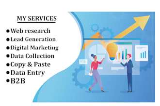 do web research, lead generation, data entry and b2b