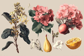 illustrate gorgeous botanical plants illustration