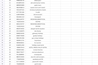 do PDF to excel data conversion manually