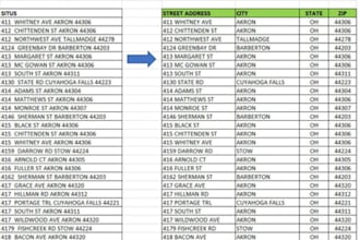 clean, format, and organize excel data for business reports