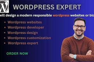 design a mordern responsive wordpress websites or blog