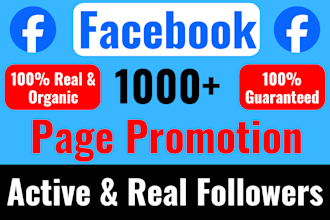 increase social media followers