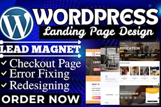 redesign wordpress restaurant sales landing page lead magnet checkout error fix