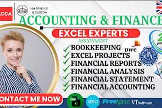 do business reports, bookkeeping, excel, accounting