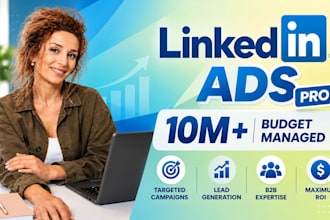 set up and manage high converting linkedin ads campaigns