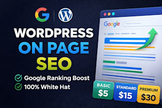 do professional on page SEO for wordpress website