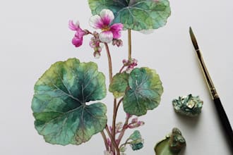 illustrate best botanical illustration