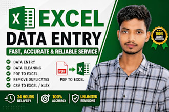 do accurate data entry, data cleaning, PDF to excel, CSV