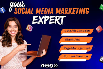 run meta ads, tiktok ads and expert in social media manager