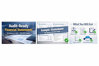 prepare professional financial statements
