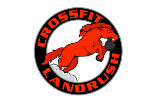 design aesthetics looks nice gym crossfit logo