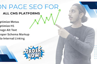 do complete on page SEO for wordpress, shopify and all cms platforms