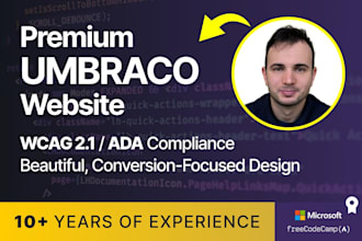 make a beautiful, accessible, conversion focused umbraco site