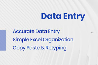 provide data entry and excel organization