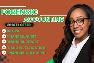 perform forensic accounting, fraud investigation, financial audit reports