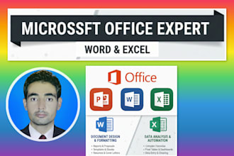 msster ms word, excel and dataa entry
