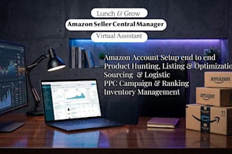 manage your amazon seller account professionally