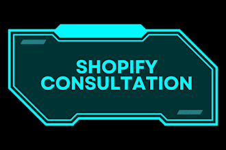 shopify store consultation support