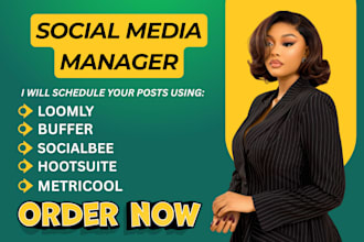 be your social media manager using metricool, hootsuite, buffer, socialbee