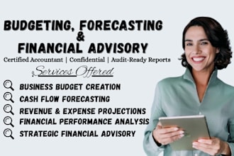perform budgeting and forecasting and financial analysis