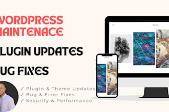 provide ongoing wordpress maintenance and bug fixes