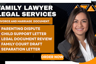 write professional custody agreements, parenting plans or court ready statement