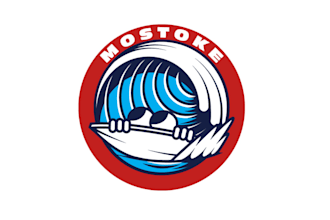 create a funny caricature iconic logo for a surfing website