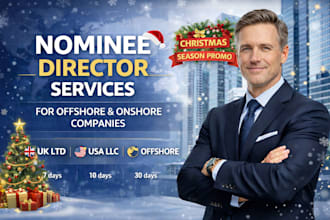 provide nominee director services for offshore and onshore companies