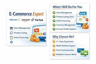 professionally manage your e commerce stores on walmart, amazon, ebay