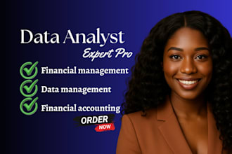 your data analyst and will do financial management and accounting