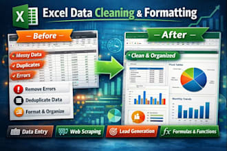clean data, sort and format excel data with accurate data entry