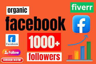 increase social media followers