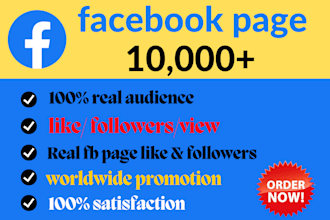 increase social media followers
