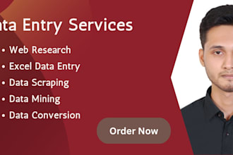 provide data entry services I have 1 year and 6 months of experience