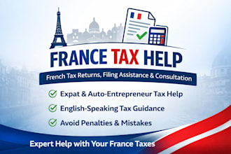 provide france tax help, french tax return, tax filing consultation