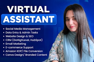 handle virtual assistant, data entry, and social media tasks