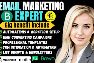 setup klaviyo email marketing flows, twillio bulk sms automation to boost sales