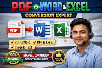 do PDF to word, PDF to excel and image to text conversion professionally