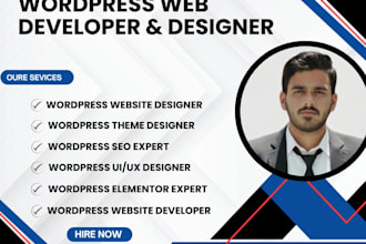 design wordpress sites and can make any changes to them