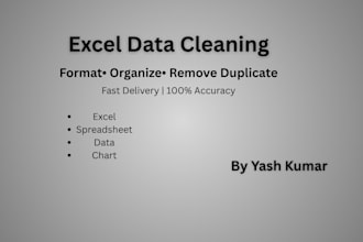 clean, format and organize excel data professionally