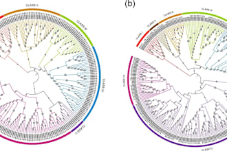 provide complete bioinformatics, gene expression, and data analysis solution