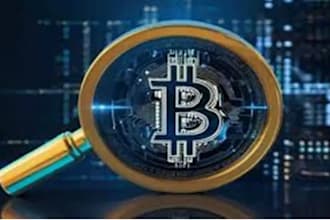 do wallet tracking and forensics