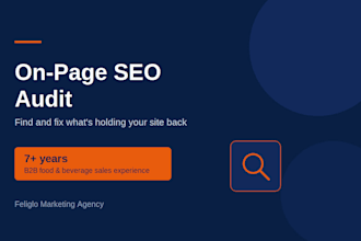 perform an on page SEO audit for your website